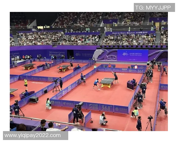 杭州乒乓球队转型之路的得与失分析与展望