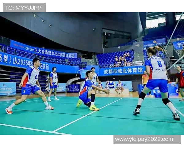 成都排球队的力量分析与发展潜力探讨 成都排球队的力量分析与发展潜力探讨