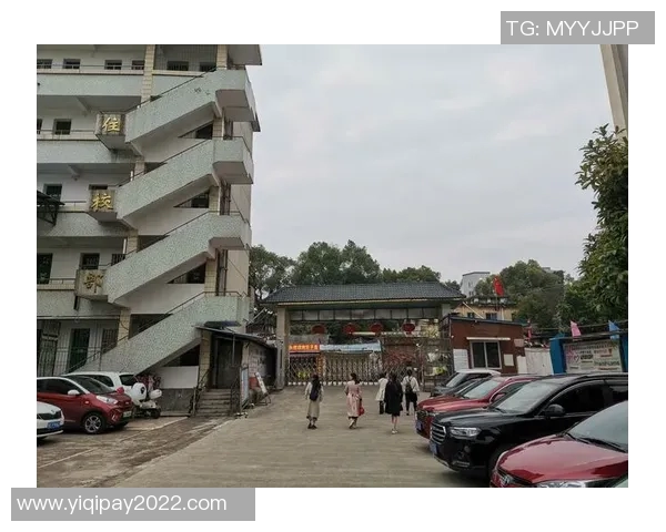 深圳排球队逆袭之路揭秘大师赛特别报道展现拼搏精神与团队力量