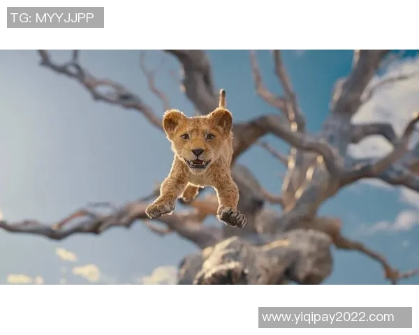 库玛拉足球明星的传奇故事与成就揭秘